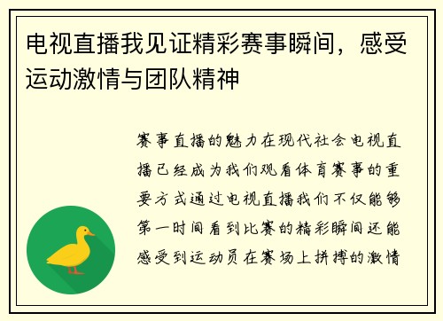 电视直播我见证精彩赛事瞬间，感受运动激情与团队精神